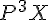 P^3X