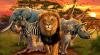 wildlife conservation