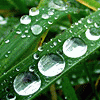 satish's picture